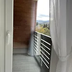 Berg *