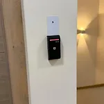 Berg * 페일